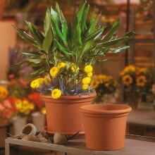 Blumentopf >Geo< in terracotta, Polypropylen - 38x55cm (HxD)