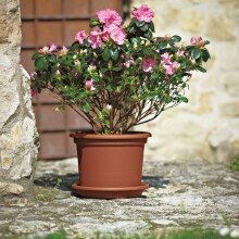 Blumentopf >Geo< in terracotta, Polypropylen - 38x55cm (HxD)