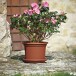 Blumentopf >Geo< in terracotta, Polypropylen - 38x55cm (HxD)