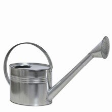Gießkanne >395238< in silber, Stahlblech...