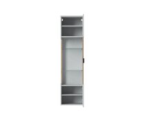 Hängevitrine >ALVERNO< in Asche/Coast Evoke Eiche Lamelle-Dekor - 45x174x40 (BxHxT)