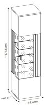 Hängevitrine >ALVERNO< in Asche/Coast Evoke Eiche Lamelle-Dekor - 45x174x40 (BxHxT)