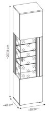 Glasvitrine >ALVERNO< in Asche/Coast Evoke Eiche Lamelle-Dekor - 50x208x40 (BxHxT)