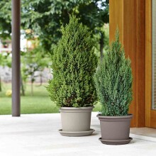 Blumentopf >Geo< in taupe, Polypropylen - 55x41x55x55cm (BxHxTxD)
