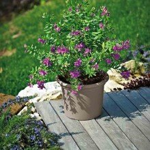 Blumentopf >Geo< in taupe, Polypropylen - 55x41x55x55cm (BxHxTxD)