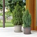 Blumentopf >Geo< in taupe, Polypropylen - 55x41x55x55cm (BxHxTxD)