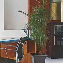 Blumentopf >Krea< in anthrazit, Polypropylen -...