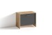 Sitzbank >BEN< in Eiche-Optik/Anthrazit 60 x 48 x 35 cm (BxHxT)
