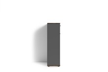 Schuhkommode >JAKOB< in Anthrazit/Old-Wood-Optik 60 x 102 x 30 cm (BxHxT)