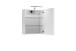 Spiegelschrank >SPREE< in weiß 50 x 60 x 20 cm (BxHxT)