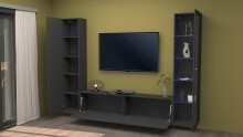 Wohnwand >Benevent< (3-teilig) in Anthrazit matt - 260x180x30 (BxHxT)