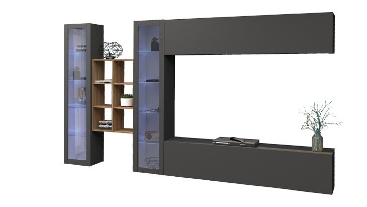 Wohnwand >Benevent< (5-teilig) in Anthrazit matt - 320x180x30cm (BxHxT)