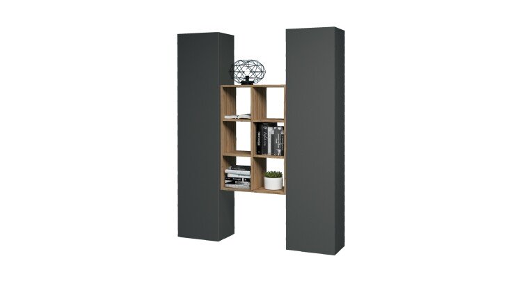 Wohnwand >Benevent< (3-teilig) in Anthrazit matt - 140x180x30 (BxHxT)