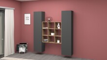 Wohnwand >Benevent< (3-teilig) in Anthrazit matt - 170x180x30 (BxHxT)