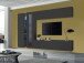 Wohnwand >Benevent< (5-teilig) in Anthrazit matt - 280x180x30 (BxHxT)