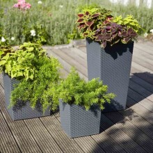 Pflanzkübel >NIZZA< in graphit, Kunststoff - 68x35cm (HxD)
