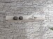 Wandboard >ILOPPA< in Schnee / Nelson Eiche Dekor - 205x25,6x22,1cm (BxHxT)