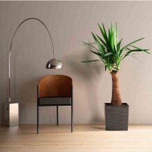 Pflanzkübel >BIRON< in graphit, Kunststoff - 25x26x25cm (BxHxT)