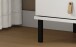 Hochschrank >WZ-0800< 2 Türen, 2 Fächer, Kiefer massiv weiß lackiert - 35x190x32 (BxHxT)
