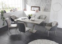 Esszimmerstuhl >Emily< (2er Set) in grau/hellgrau - 47x91x62 (BxHxT)