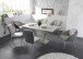 Esszimmerstuhl >Emily< (2er Set) in grau/hellgrau - 47x91x62 (BxHxT)