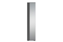 Hochschrank >BEN< in Anthrazit mit Spiegel 40 x 184 x 35 cm (BxHxT)