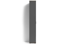 Hochschrank >JAKOB< in Anthrazit/Old-Wood-Optik 49 x 196 x 30 cm (BxHxT)