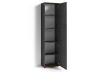 Hochschrank >JAKOB< in Anthrazit/Old-Wood-Optik 49 x 196 x 30 cm (BxHxT)