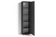 Hochschrank >JAKOB< in Anthrazit/Old-Wood-Optik 49 x 196 x 30 cm (BxHxT)