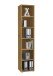 Aktenregal >CALVIA 6< in Alteiche Dekor - 47,1x221,3x39,9cm (BxHxT)