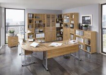 Aktenregal >CALVIA 7< in Alteiche Dekor -...