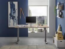Schreibtisch >Pronto< höhenverstellbar, Eiche Sonoma Dekor / Grau - 160x75/118x77 (BxHxT)