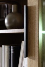 Vitrine >GRENO< in natur geölt, Wildeiche teilmassiv - 72x200x40cm (BxHxT)