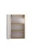 Hängeschrank >Paris< in Betongrau, Wotaneiche, MDF - 40x64x20cm (BxHxT)