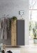 Midischrank >Paris< in grau, Wotaneiche, MDF - 65x130x35cm (BxHxT)