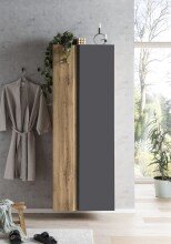 Seitenschrank >Paris< in grau / Wotaneiche, MDF - 65x180x35cm (BxHxT)