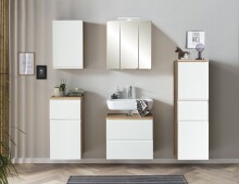 Spiegelschrank >Paris< in Wotaneiche - 60x64x20cm (BxHxT)