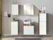 Spiegelschrank >Paris< in Wotaneiche - 60x64x20cm (BxHxT)