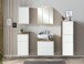 Spiegelschrank >Paris< in Wotaneiche - 60x64x20cm (BxHxT)