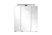 Spiegelschrank >Lyon< in weiß - 60x64x20cm (BxHxT)