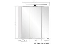 Spiegelschrank >Lyon< in Grafitgrau - 60x64x20cm (BxHxT)