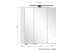 Spiegelschrank >Lyon< in Grafitgrau - 60x64x20cm (BxHxT)