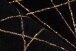 Teppich >Bijou< in Schwarz / Gold, 100% Polyester - 230x160cm (LxB)