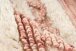 Teppich >Bohist< in Rosa / Creme, 90% Wolle / 10% Baumwolle - 290x200cm (LxB)