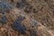 Teppich >Charme< in Multi - 290x200 (LxB)