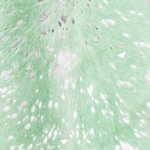 Fellteppich >Fly< in Lapisblau / Silber, 100% Leder - 260x200cm (LxB)