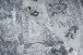 Teppich >Galaxy< in Grau / Blau, 100% Polyester - 290x200cm (LxB)