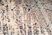 Teppich >Galaxy< in Beige / Blau, 100% Polyester - 290x200cm (LxB)