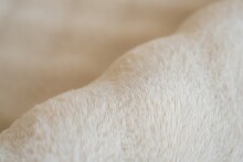 Teppich >Hailey< in Creme, 100% Polyester - 160x120cm (LxB)