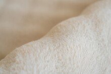 Teppich >Hailey< in Creme, 100% Polyester - 290x200cm (LxB)
